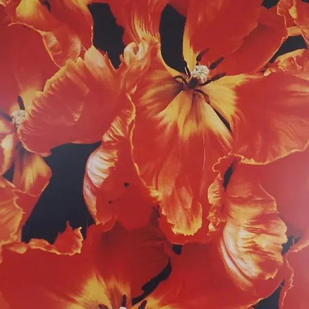 Bed & Breakfast Bickersbed