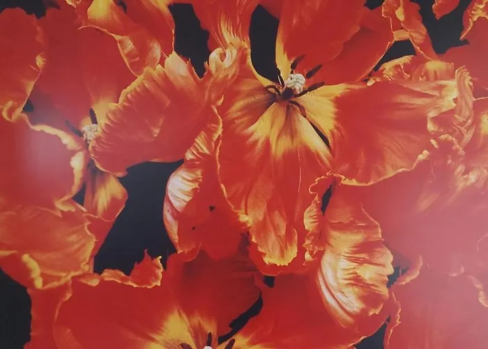 Bed & Breakfast Bickersbed